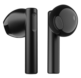 DuoPod A350 Earbuds
