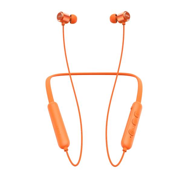 Collar Flash Neckband