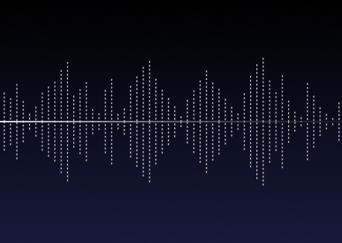 Noise Cancellation Earphones