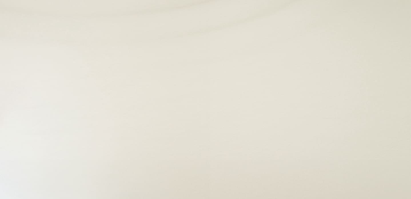 Fort S120 - Background